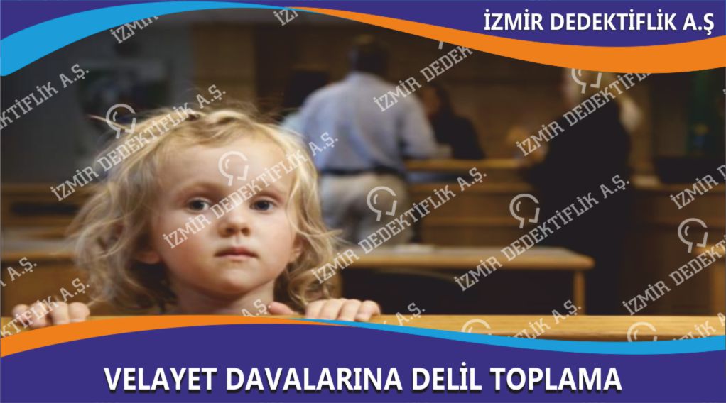 Velayet Davalarına Delil Toplama